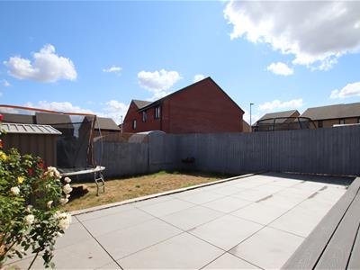 Picture 16